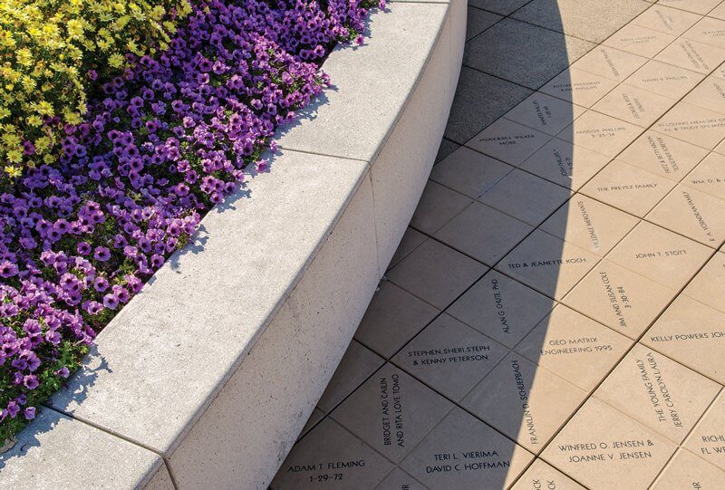 A close-up of purple and yellow flower landscape beside a concrete sidewalk.