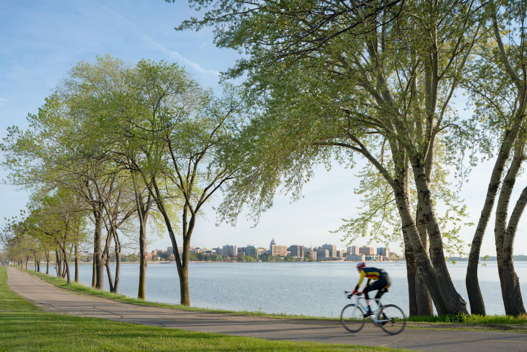 A cyclist riding a bike by a path near the lake with tall trees alongside the path, city buildings in the far background