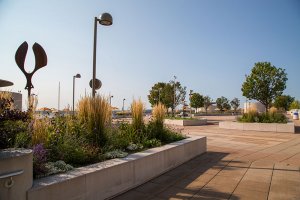 Monona Terrace Sculpture Garden